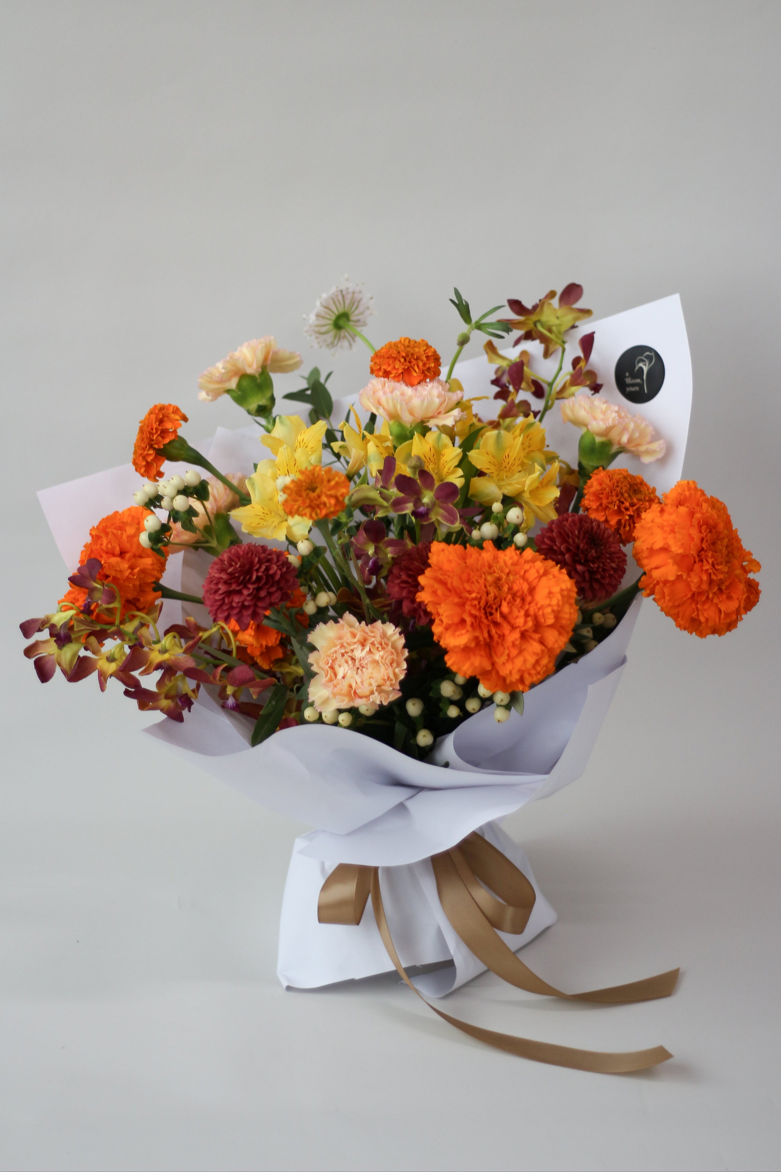 Omakase - Bright & Bold